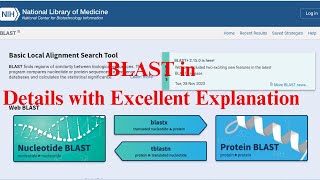 BLAST database  Results Analysis  NCBI BLAST in Details [upl. by Nwahsyt]