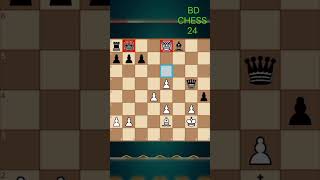 Chess board game play [upl. by Jule942]