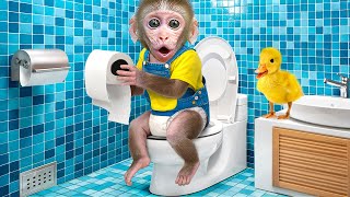 KiKi Monkey goes to the toilet with Duckling amp eat Rainbow Jelly at swimming pool  KUDO ANIMAL KIKI [upl. by Mcdade724]