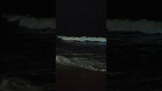 Bioluminescence waves thiruvanmiyur beach shorts bioluminescence [upl. by Sukramaj]