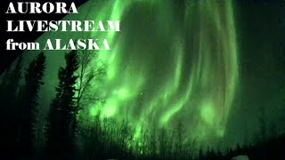 LIVE Alaska Sky Cam Live Stream May 1718 2024 [upl. by Darce]