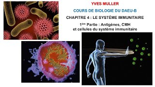 Chapitre 4  1ère Partie  Antigènes CMH et cellules du système immunitaire  Cours de Biologie [upl. by Trinidad666]