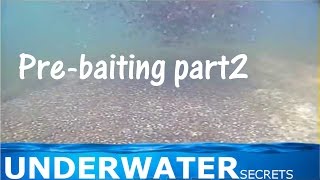 Heavy baiting for carp fishing part2 underwater video [upl. by Noruq]