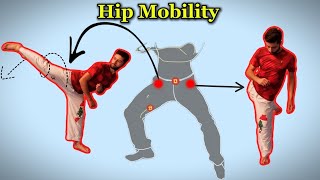 Top 7 Stretching Exercises to Improve Hip Mobility and Flexibility [upl. by Dagall]