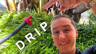 How to Install a Rain Bird Drip Irrigation System [upl. by Anelah]