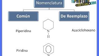 Nomenclatura de Aminas Heterocíclicas  Lección Teórica 1 [upl. by Abla]