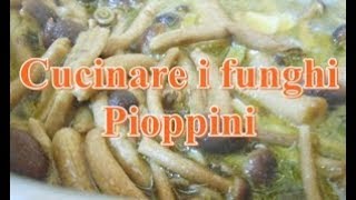 Come cucinare i funghi in padella [upl. by Dex]