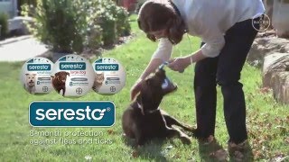 Seresto™ for Dogs [upl. by Sammer42]