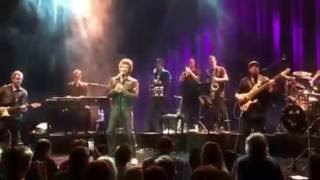 Gino Vannelli Appaloosa Oslo July 092016 [upl. by Lleroj]