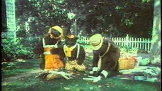 Smokey Bear Collectors and PSAs from 1950 to 1980 [upl. by Sabas]