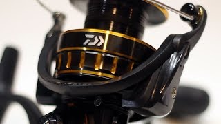 The Perfect Spinning Reel  Almost  Daiwa BG4000 Comprehensive Review [upl. by Winstonn]