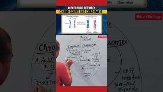 Chromosome Vs Chromatids neet2025 nursing cell [upl. by Nerok]