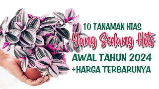 10 Tanaman Hias Yang Sedang HITS Januari 2024 [upl. by Joe]