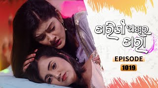 Tarini Akhira Tara  Full Ep 1019  10th May 2021  Odia Serial – TarangTV [upl. by Yanarp280]