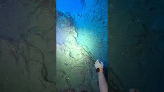 EGYPT Dahab 18 Oct 2024 Blue hole chimney [upl. by Christabella67]