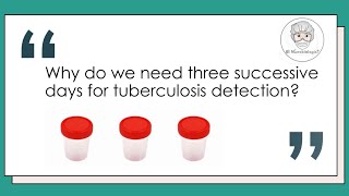 Sputum culture  Why 3 samples needed for TB Detection Mycobacterium tuberculosis Microbiology [upl. by Trbor722]