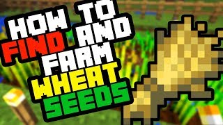 How to Find Wheat Seeds in Minecraft Survival 2019 And Farm Them [upl. by Toulon]