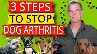 Dogs Arthritis Pain Relief 3 Natural Steps to Treatment [upl. by Baoj]