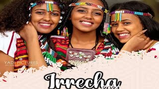 IRRECHA 2024  Qophi irrecha [upl. by Hullda]