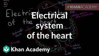 Electrical system of the heart  Circulatory system physiology  NCLEXRN  Khan Academy [upl. by Sabba119]