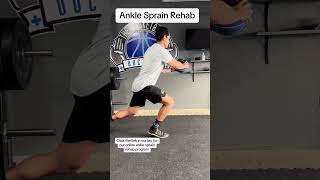 Ankle Sprain Rehab Here are two exercises we like using with our athletes to help improve strength [upl. by Eelyk]