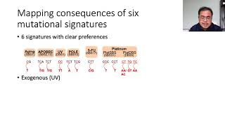 Protein structural consequences of DNA mutational  Joseph Ng  VarI  Talk  ISMBECCB 2021 [upl. by Eadmund357]