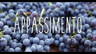 Appassimento for Amarone grapes [upl. by Meelas789]