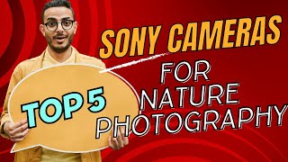 Top 5 Sony Cameras For Nature Photography [upl. by Nylasoj974]