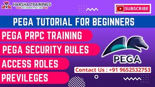 PEGA Security Rules  Access Roles  Previleges  PEGA tutorial for Beginners  PEGA Training [upl. by Amandi494]