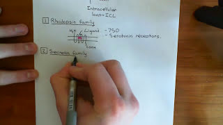 The Serotonin  5Hydroxytryptamine Receptors Part 2 [upl. by Alwitt]