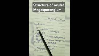 Structur and functions of ovule [upl. by Atikahc155]