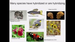 Schumer Assortative mating and hybrid incompatibility in natural hybrid populations [upl. by Namie]