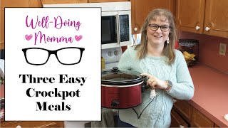 3 Cheap and Easy Budget Crockpot Meals  Feeding a Family of 10 on a Budget [upl. by Emelia]