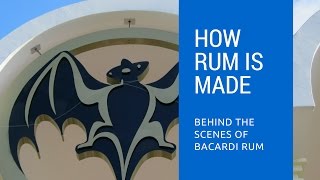 How Rum Is Made Behind The Scenes of Bacardi Rum Distillery [upl. by Ettenna780]