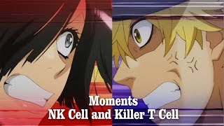 Killer T Cell and NK Cell【 Hataraku Saibou Episode 6  7 】 [upl. by Annot]