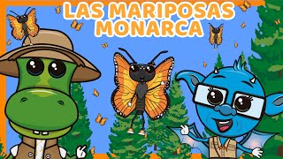 Las Mariposas Monarca  Danilo amp Chapis  Canciones Infantiles [upl. by Solitta]