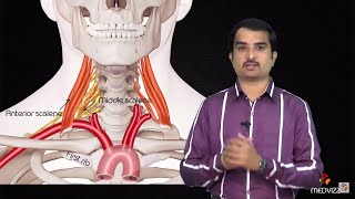 Brachial Plexus Advanced lecture  Usmle Fast Track mode  not for beginners  Dr Bhanu prakash [upl. by Koziara766]