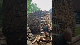 Let’s build a 9 cord holzhausen firewood diy wood woodhound split stack repeat fyp [upl. by Mount]