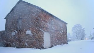 My winter residence is a derelict coach house in a car park [upl. by Raseac976]