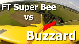 FT Super Bee vs Buzzard [upl. by Aikemot576]