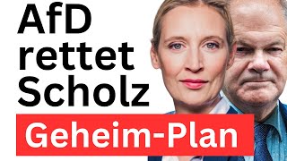 Keine Neuwahlen Scholz Vertrauen aussprechen Merz stoppen [upl. by Tniassuot]