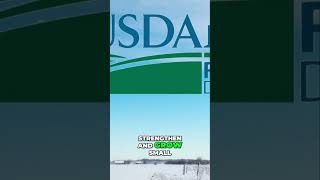 Unlock USDA Grants for Rural Business Growth shorts [upl. by Sucramed]