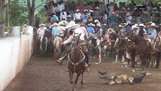 Lienzo Charro los Amigos [upl. by Certie]