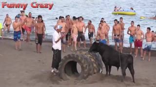 Funny video Buffalo Fighting Festival Best Funny videos try not to laugh CRAZY Buffalo Fails 4 2 [upl. by Atsyrt]