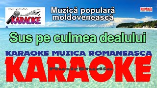 Karaoke  Sus pe culmea dealului  Versuri  Negativ  Muzică populară karaoke moldovenească 2024 [upl. by Ainoloppa]