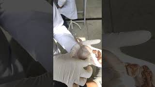 an anatomical video demonstration of uterus  anatomy practical video [upl. by Twum]