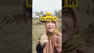 Fix Iku wong iri ternakkambing sobatngarit peternakan [upl. by Slosberg]