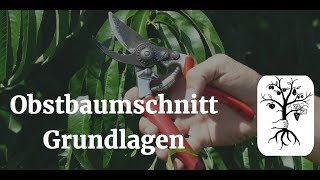 Obstbaumschnitt Grundlagen  Wuchsgesetze amp Schnittwirkung  Tipps für alle Obstarten [upl. by Mclaurin]