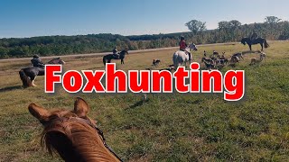 Foxhunting in Alabama Cubbing season OTTB [upl. by Ihtraa919]