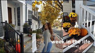 average week in my life as a college student at hofstra [upl. by Ahtelat231]